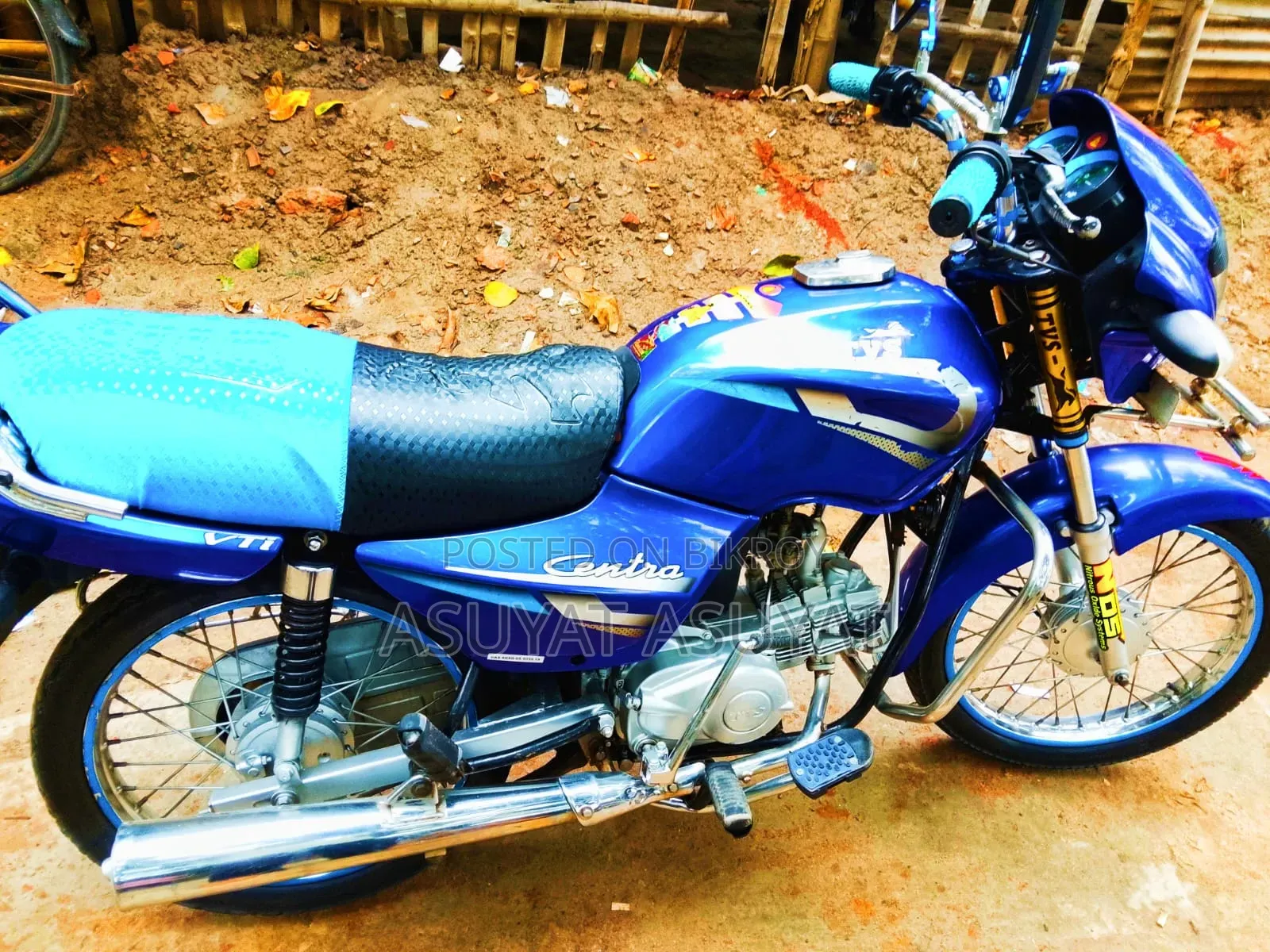 TVS 2005 Blue