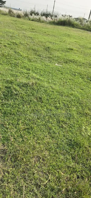 সেক্টর ১৩ বিজনেস ক্যাটাগরি ৩ কাঠা অ্যালোকেটেড প্লট সেল