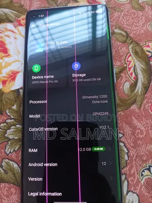 অপো রেনো ৬ প্রো ৫জি ২৫৬ জিবি সিলভার