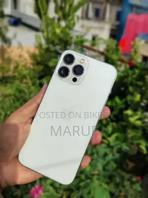 অ্যাপল আইফোন ১৩ প্রো ম্যাক্স ২৫৬ জিবি সিলভার
