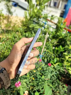 অ্যাপল আইফোন ১৩ প্রো ম্যাক্স ২৫৬ জিবি সিলভার