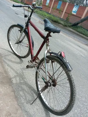 Ranger Max Bicycle (Fixed Price)