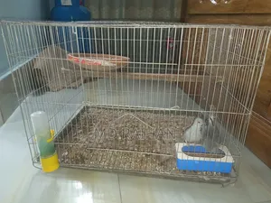 Diamond Dove 2 Pairs with Cage