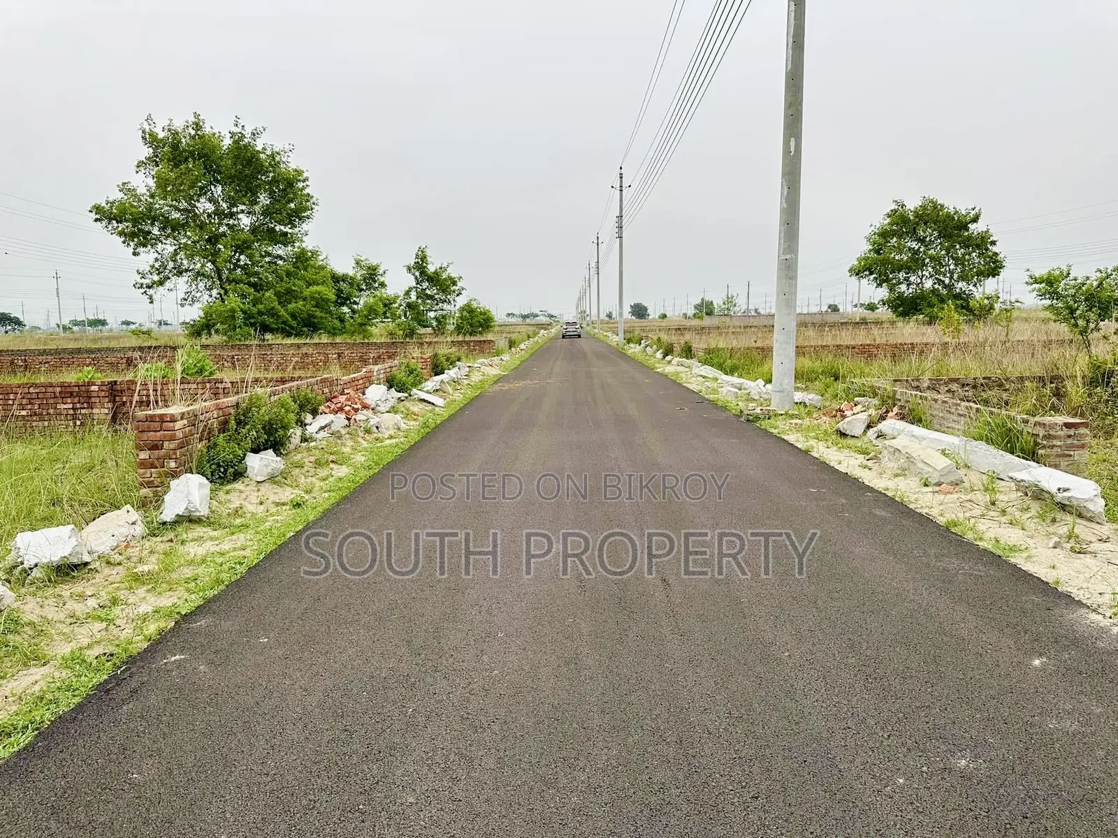 M Block 4+4=8 Katha South Facing Plot at Bashundhara R/A Urgent Sale