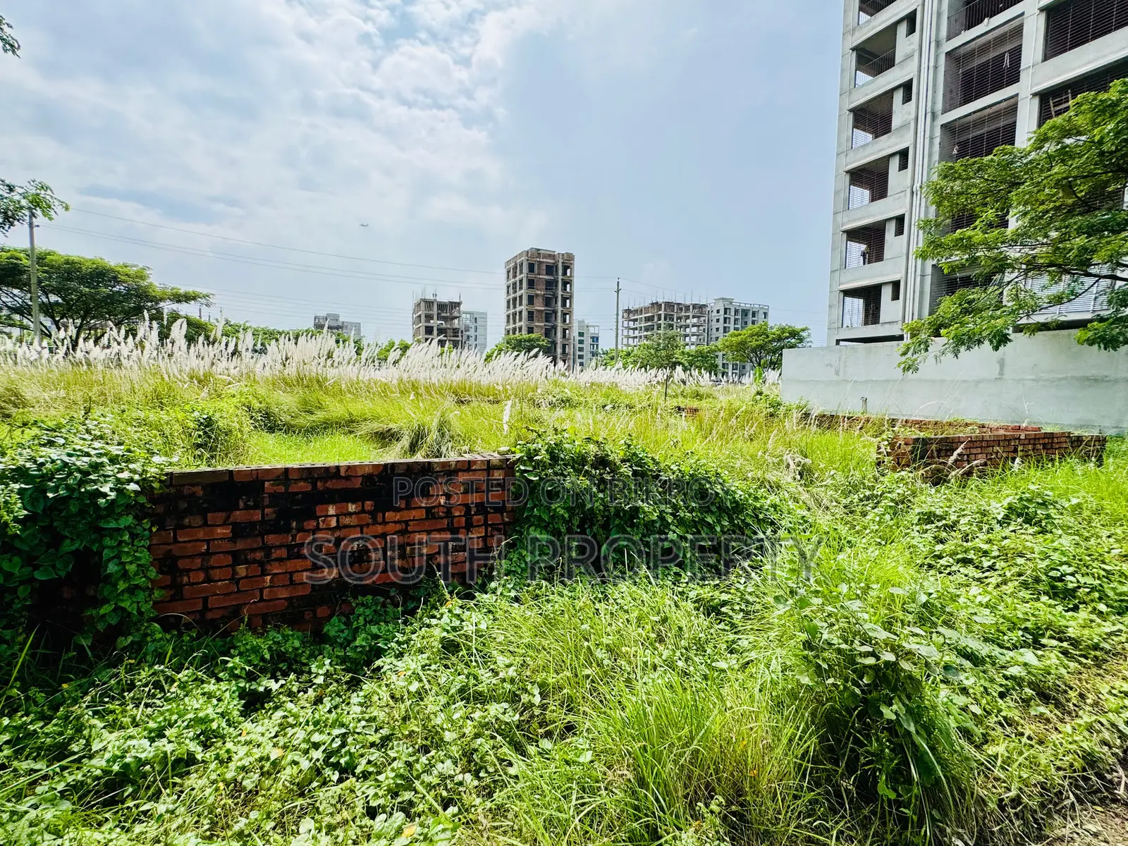 M Block 4+4=8 Katha South Facing Plot at Bashundhara R/A Urgent Sale