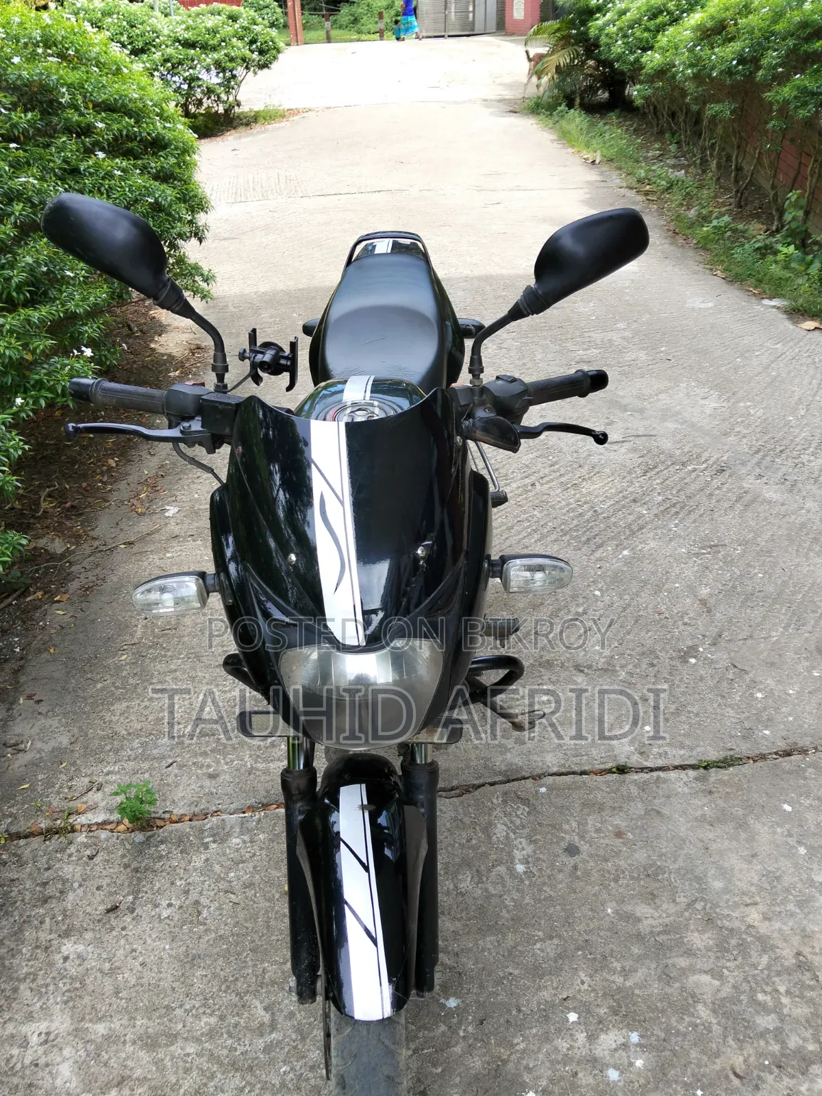 Bajaj Pulsar 150 2019 Black