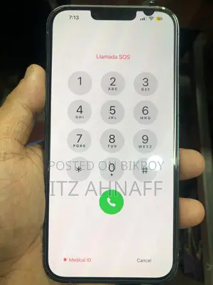 Apple iPhone 13 Pro Max 256 GB Blue