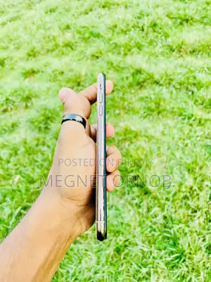 নিউ অ্যাপল আইফোন এক্সএস ম্যাক্স ২৫৬ জিবি রোজ গোল্ড