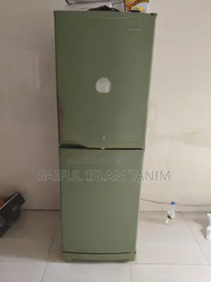 Esquire ডাবল ডোর ফ্রিজ – আনুমানিক ২৮০ লিটার+ সম্পূর্ণ সচল