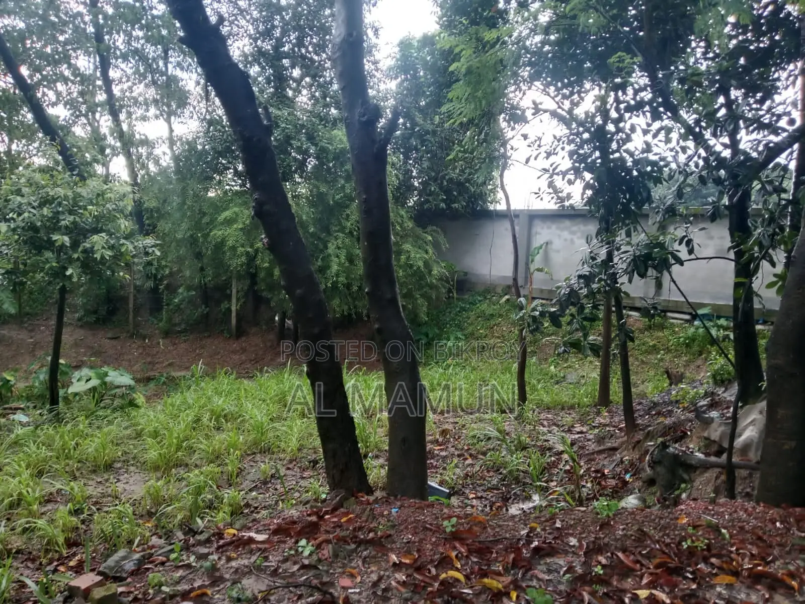 পূর্বাচল সংলগ্ন ৬৬ কাঠা জমি বিক্রি