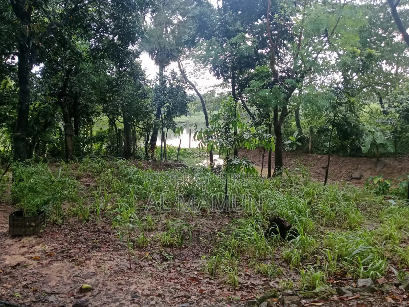 পূর্বাচল সংলগ্ন ৬৬ কাঠা জমি বিক্রি