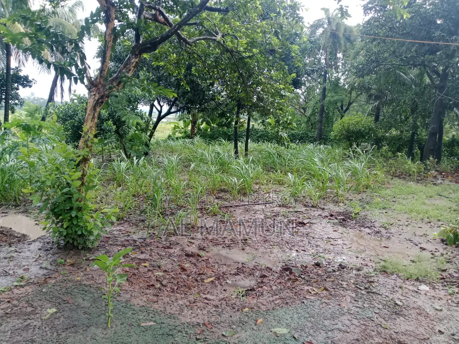 পূর্বাচল সংলগ্ন ৬৬ কাঠা জমি বিক্রি