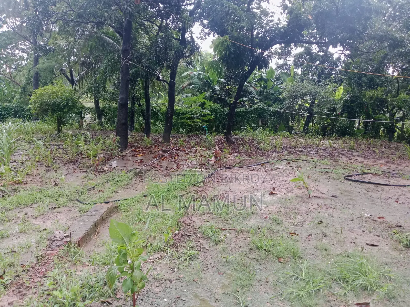 পূর্বাচল সংলগ্ন ৬৬ কাঠা জমি বিক্রি