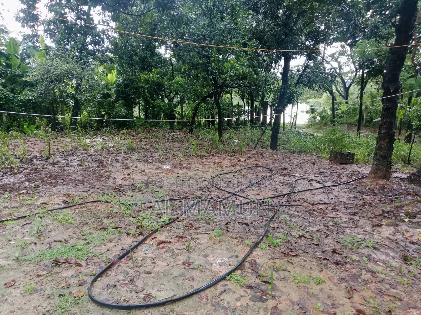 পূর্বাচল সংলগ্ন ৬৬ কাঠা জমি বিক্রি