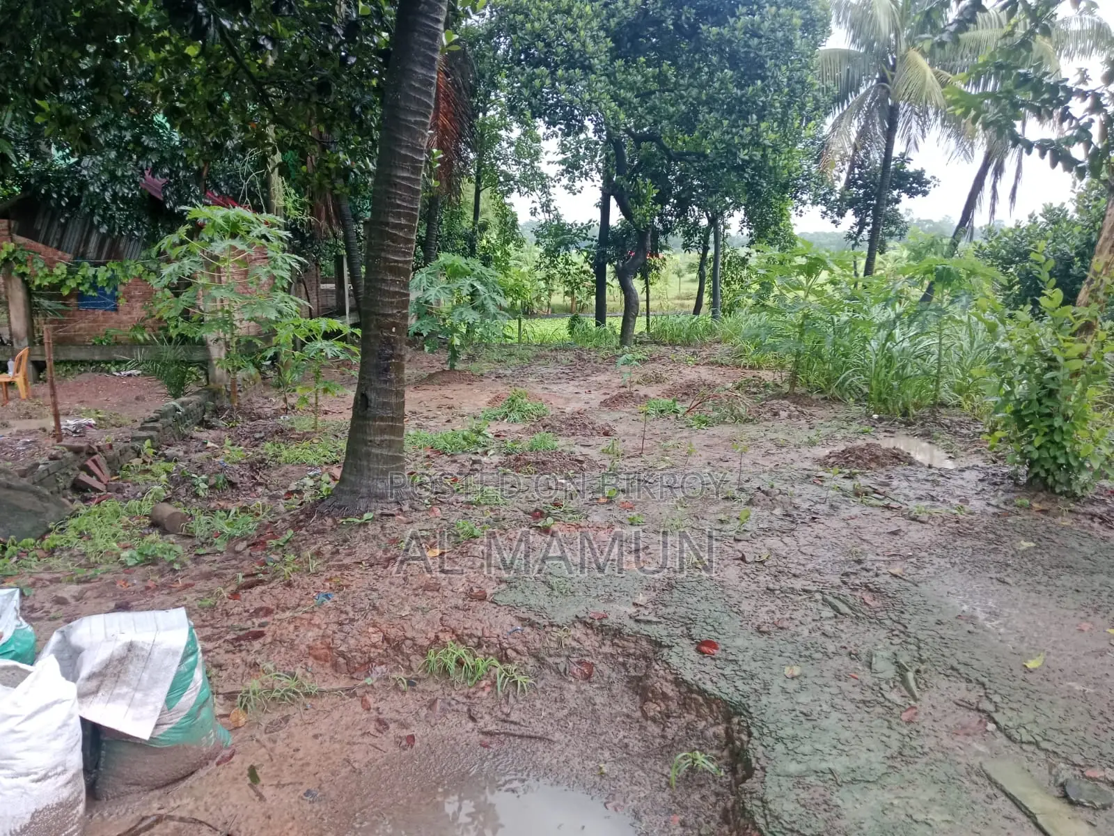 পূর্বাচল সংলগ্ন ৬৬ কাঠা জমি বিক্রি