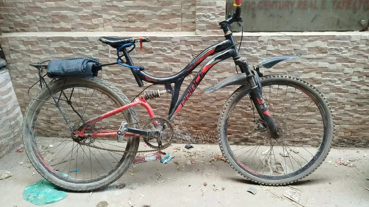 Best Cycle in Budget