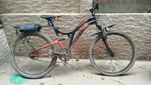 Best Cycle in Budget
