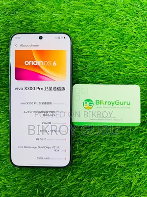 ভিভো এক্স৩০০ প্রো ২৫৬ জিবি গ্রাফাইট