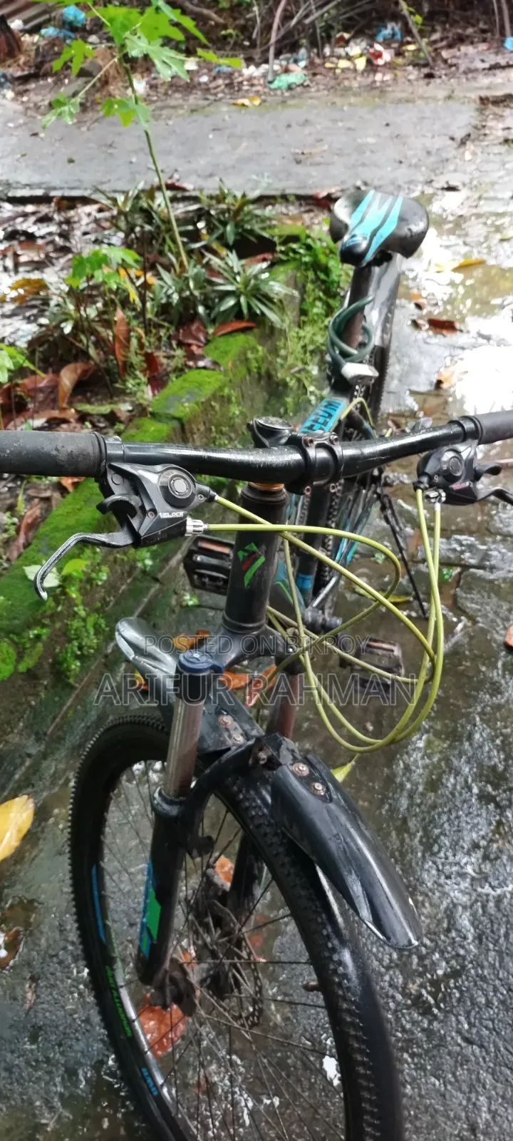 Gear Cycle (71)