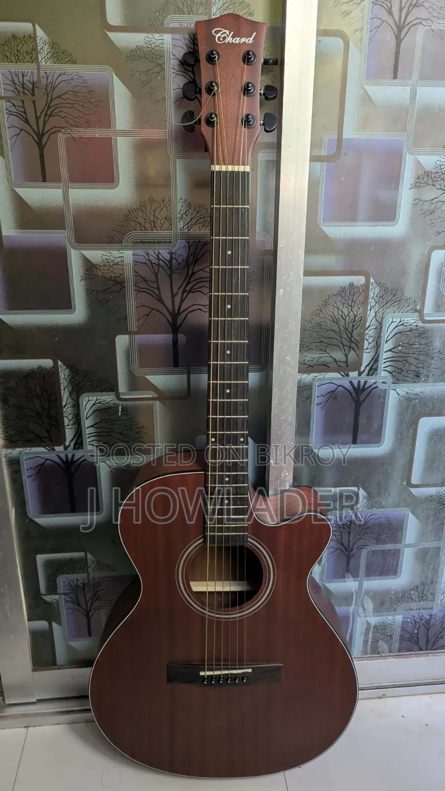 Chard Guitar