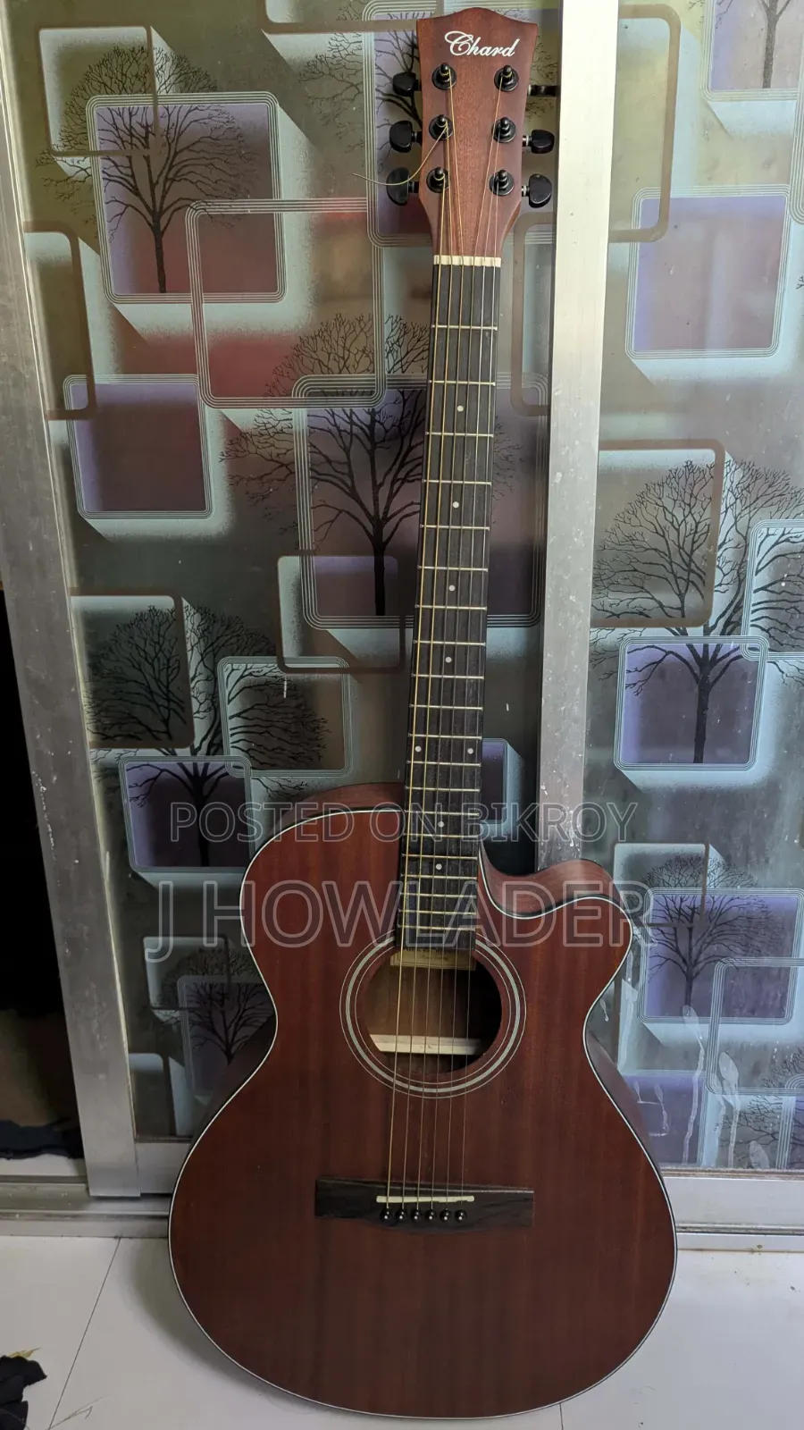 Chard Guitar