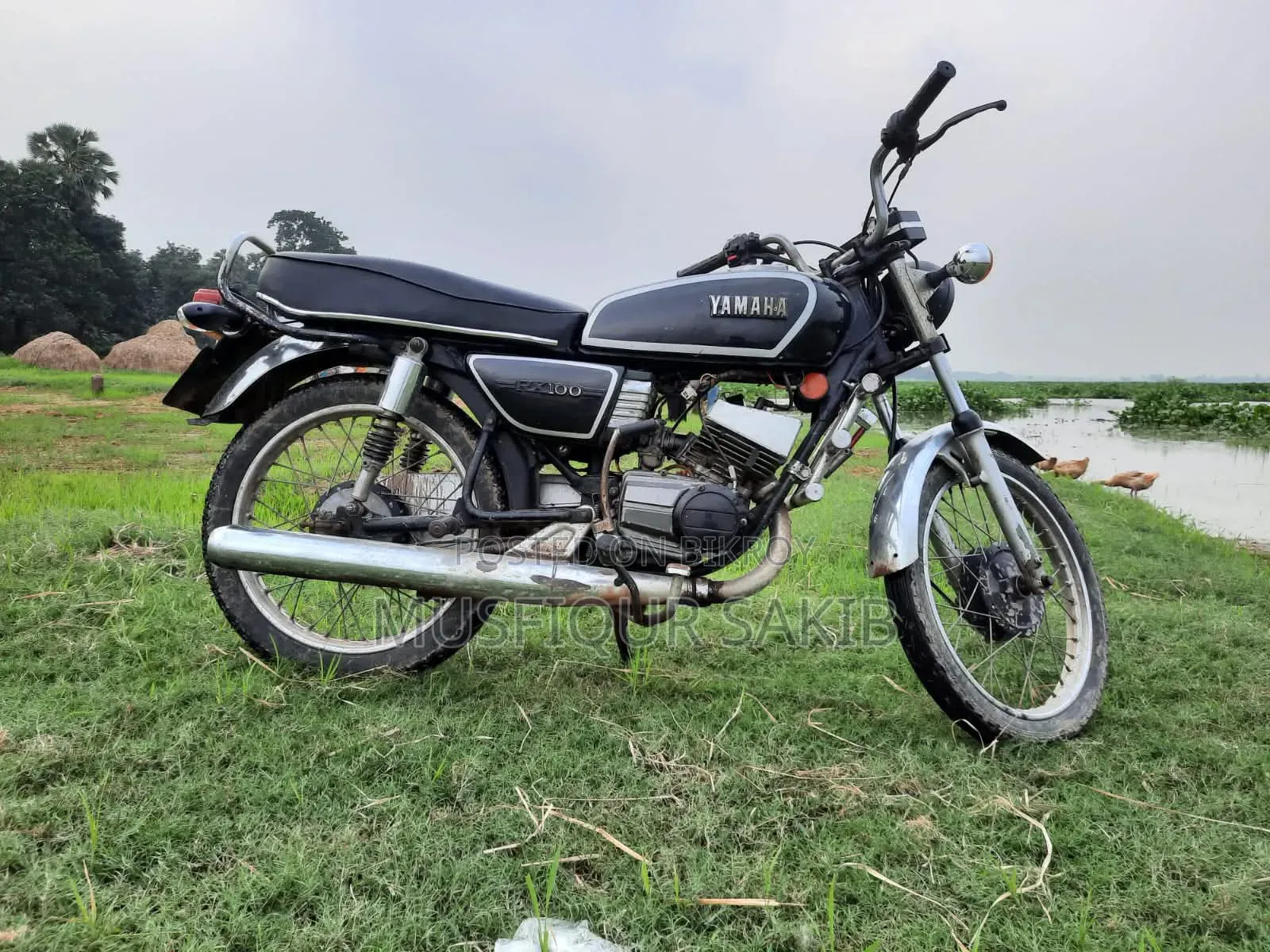 Yamaha 2000 Black