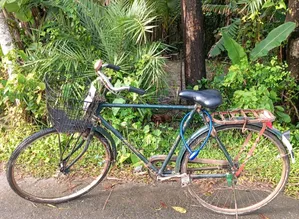 Running Cycle