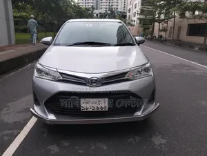 Toyota Axio 2018 Silver