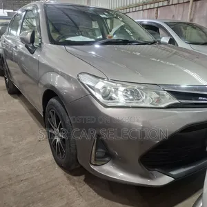 Toyota Axio 2017 Gray