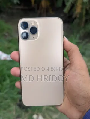 অ্যাপল আইফোন ১১ প্রো ম্যাক্স ৬৪ জিবি সিলভার