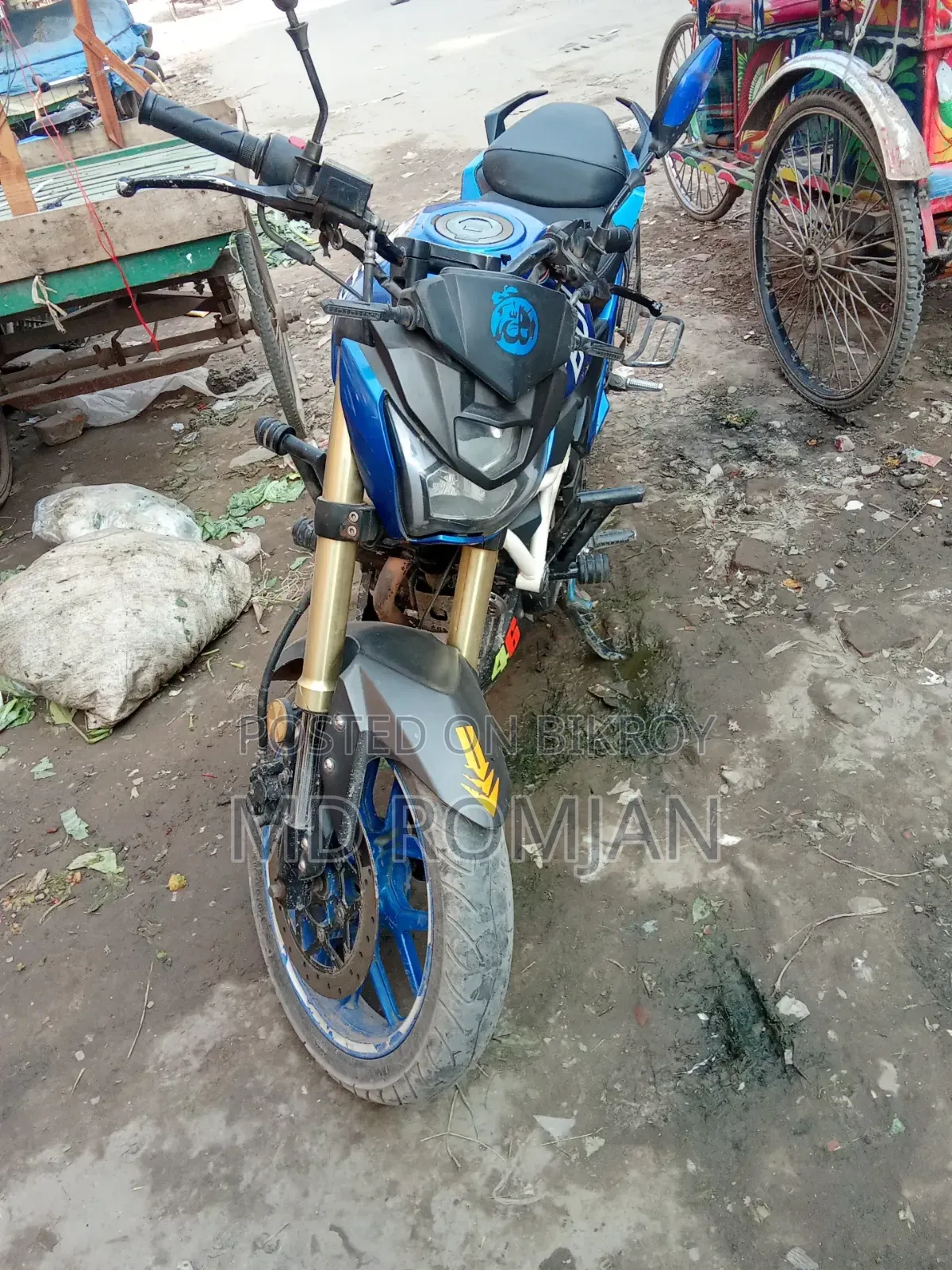 Runner Bolt 165R 2022 Blue
