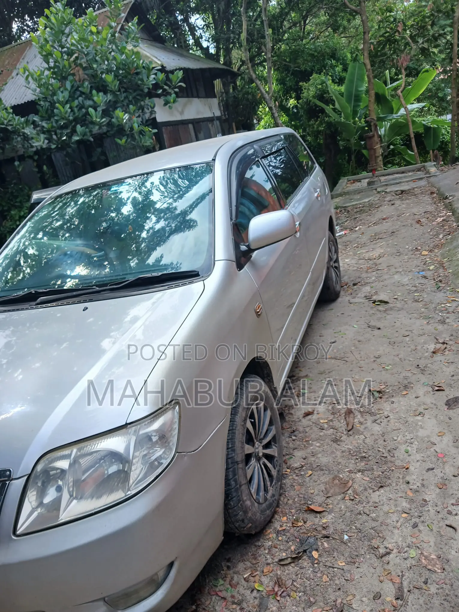 Toyota Corolla Fielder 2005 Silver