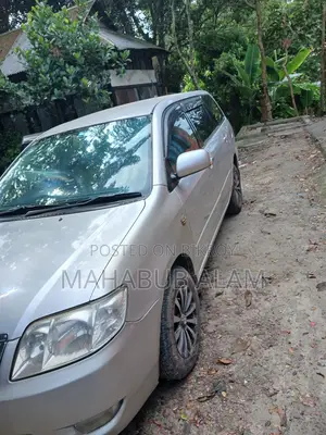 Toyota Corolla Fielder 2005 Silver