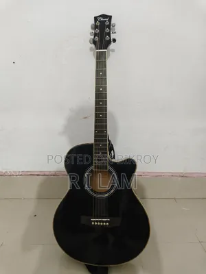 চার্ড ইএ১২ ব্ল্যাক পিওর অ্যাকোস্টিক গিটার