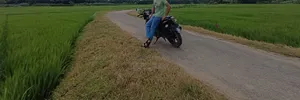 Bajaj Pulsar 150 2021 Black