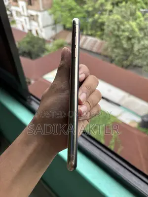 অ্যাপল আইফোন এক্সএস ম্যাক্স ৫১২ জিবি গোল্ড