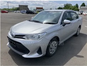 Toyota Axio 2021 Silver