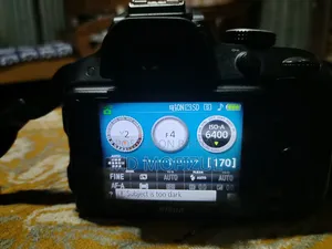 Nikon D3300