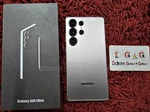 Samsung Galaxy S25 Ultra 256 GB Gray