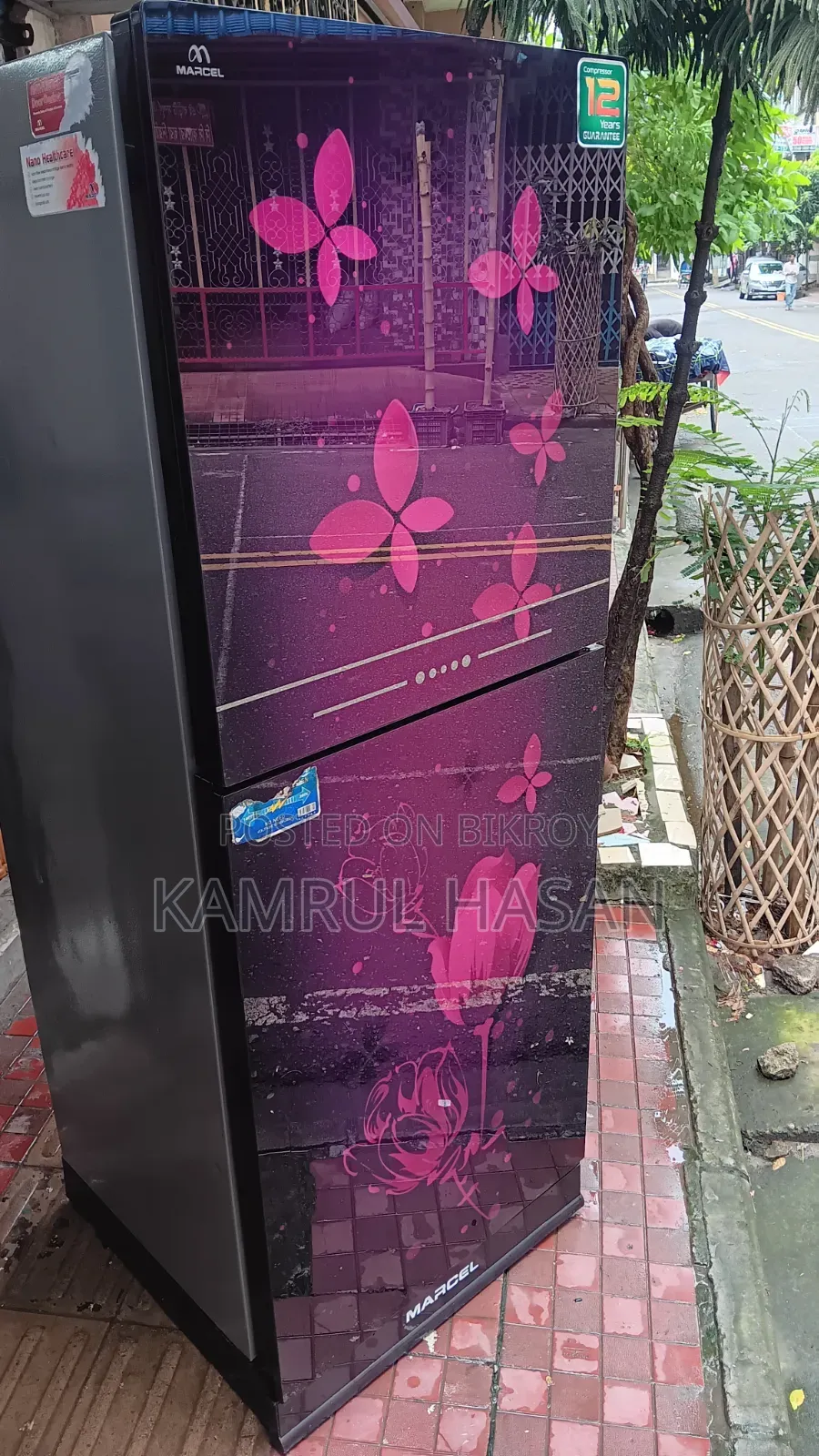 Marcel Glass Door Big Fridge