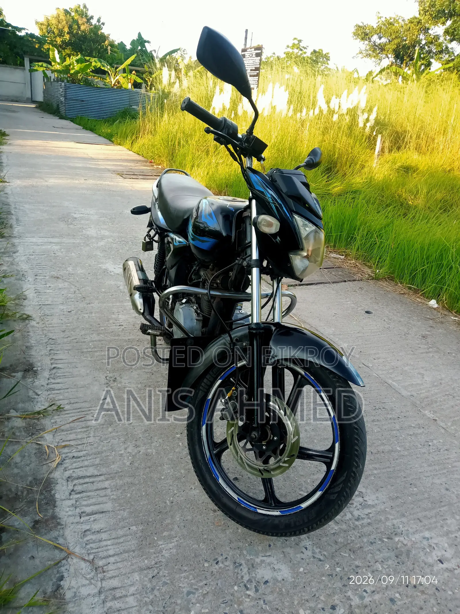 Walton Ranger 2016 Black