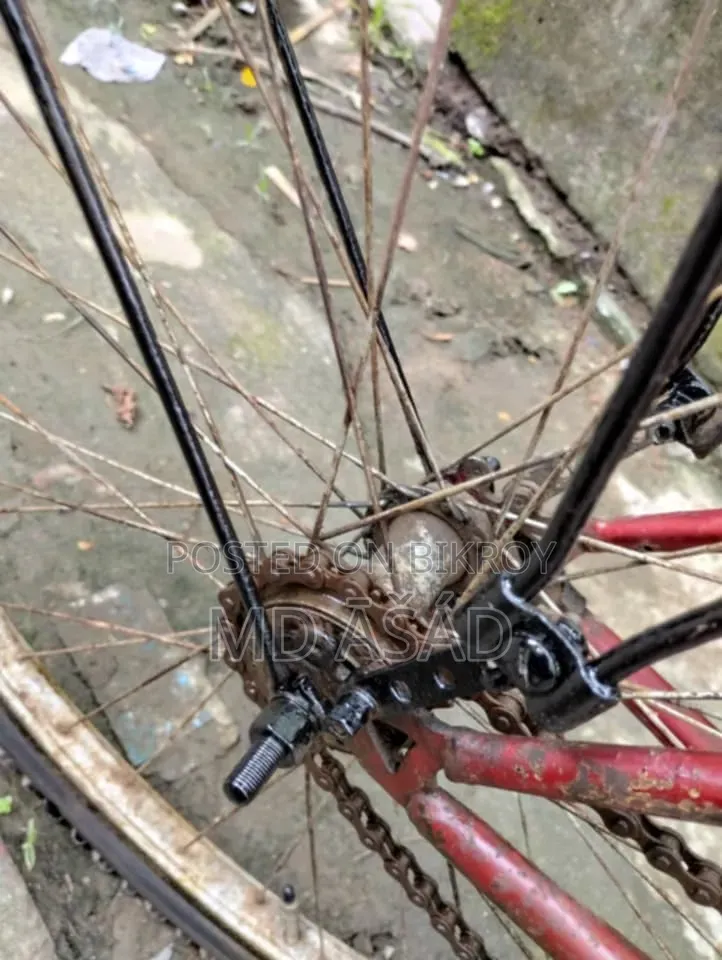 Cycle for Sale