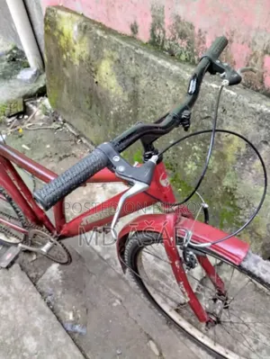 Cycle for Sale