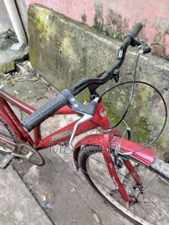 Cycle for Sale