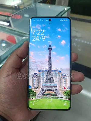 শাওমি ১৪ প্রো ২৫৬ জিবি ব্লু