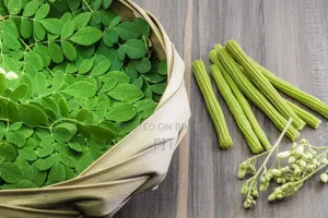 ফ্রেশ সজনে পাতা Moringa Leaf