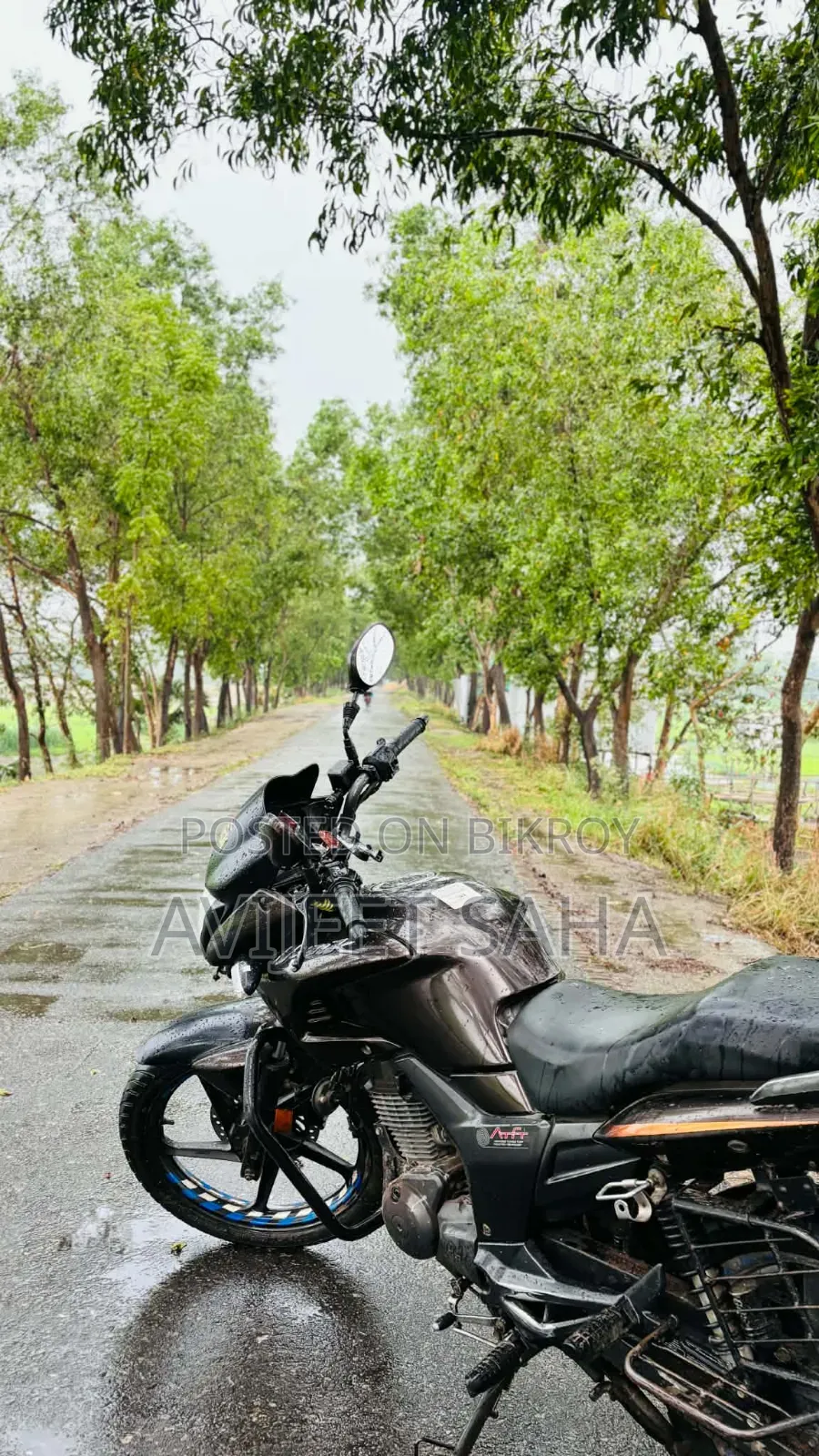 হিরো হাঙ্ক ২০১৯ ব্রাউন