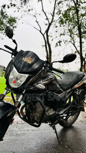 হিরো হাঙ্ক ২০১৯ ব্রাউন