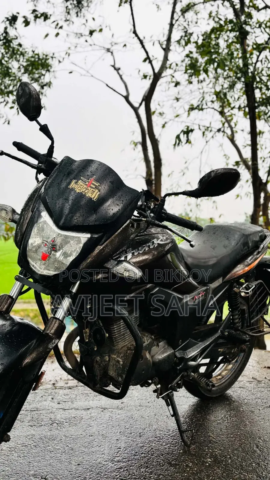 হিরো হাঙ্ক ২০১৯ ব্রাউন