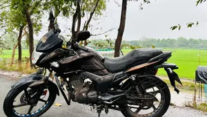 হিরো হাঙ্ক ২০১৯ ব্রাউন